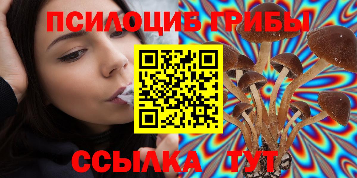 Галлюциногенные грибы прущие грибы Серпухов