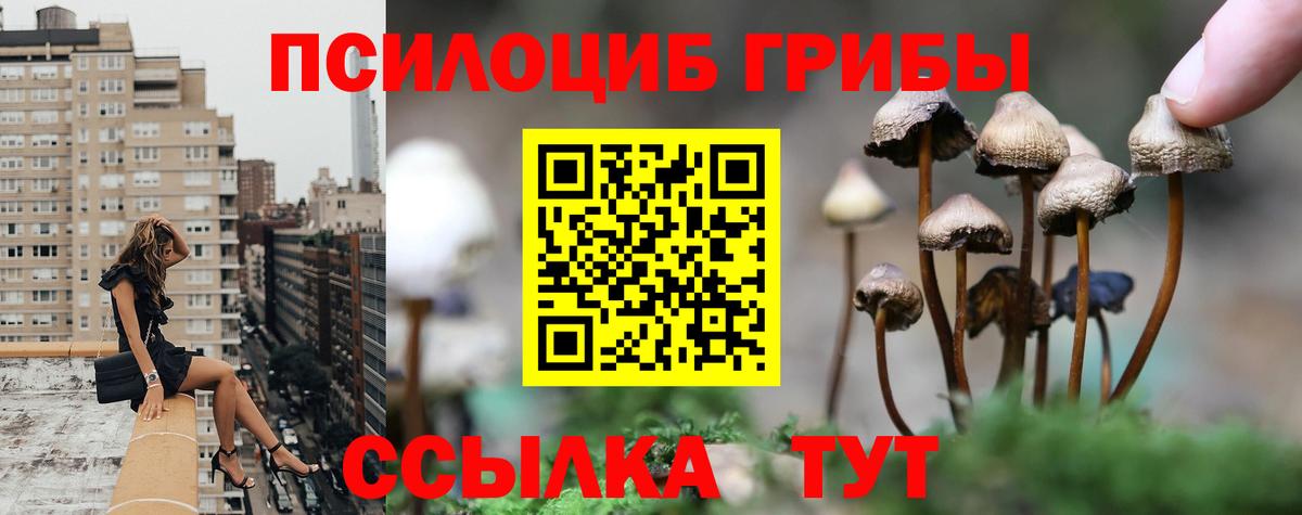 Псилоцибиновые грибы GOLDEN TEACHER  Вход с VPN  Серпухов 